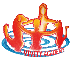 Vivity Academy logo